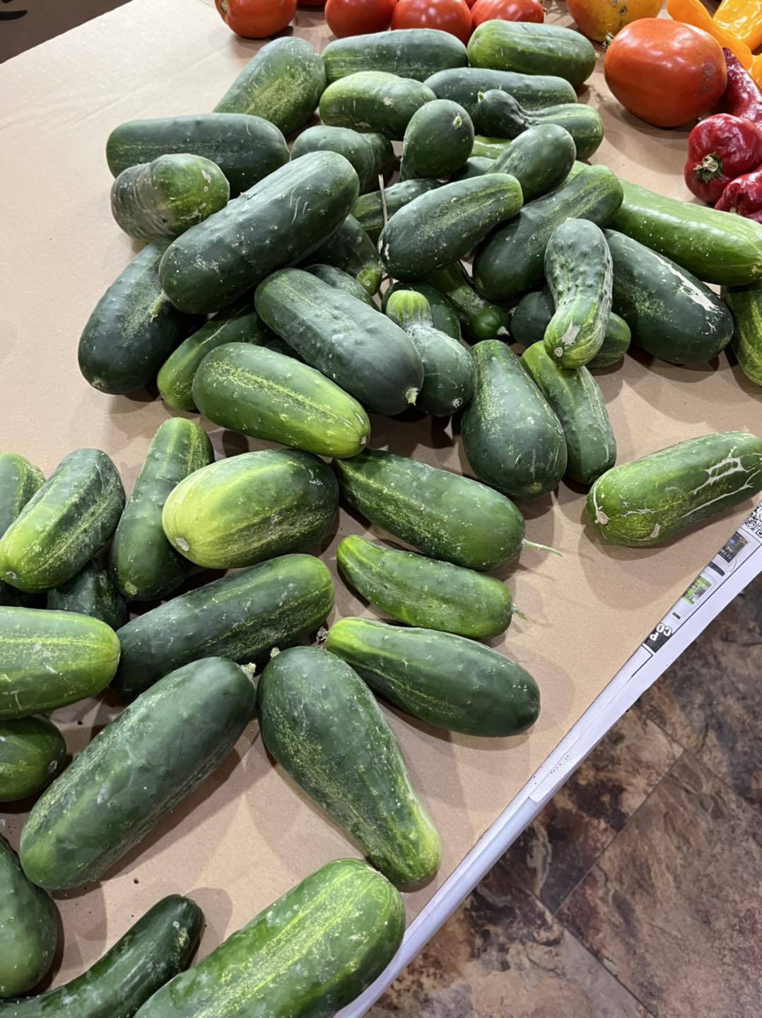 cucumbers.jpg